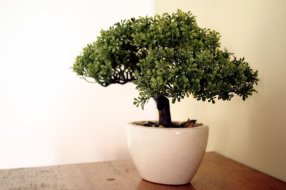 Ferienhaus Schlossblick - Dekoration